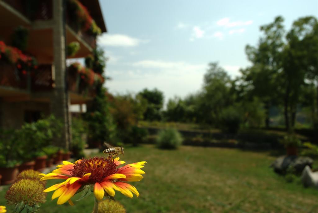 Guest House Nena Rastoke Слунь Екстер'єр фото